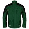 Green/Black