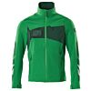 Helder Groen/Groen