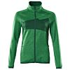Helder Groen/Groen
