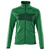 Helder Groen/Groen