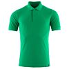 Helder Groen