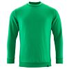 Helder Groen