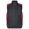 Anthracite/Red