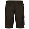Brown/black