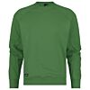 Olmgroen
