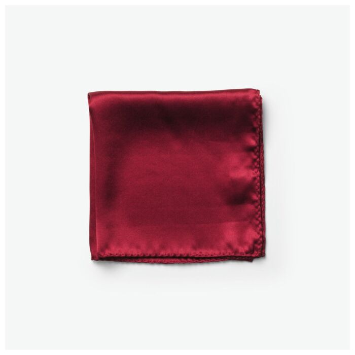 J.Harvest & Frost Solid Hankie & Lapel Pin With Giftbox Heren, Accessoires Rood maat ONE